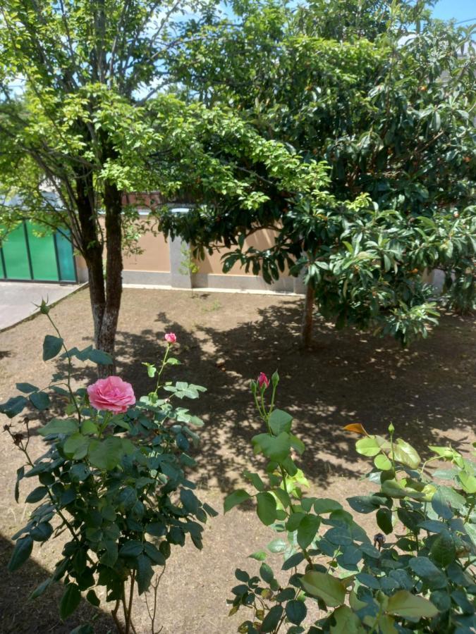 Tskaltubo Apartment Mirian Mepe 外观 照片