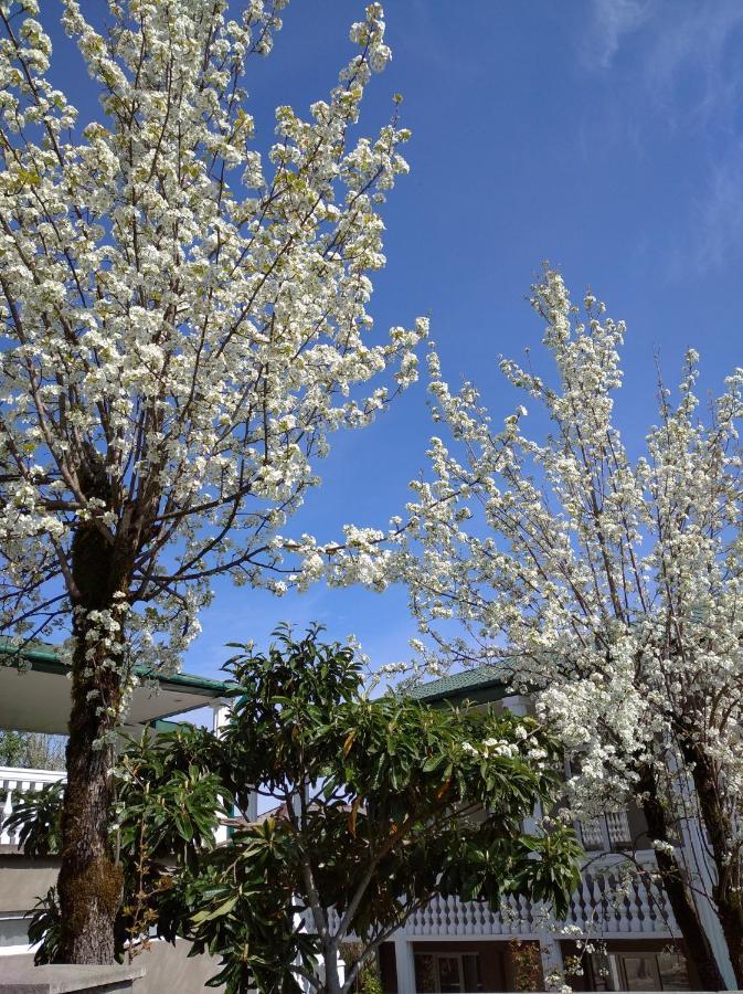 Tskaltubo Apartment Mirian Mepe 外观 照片
